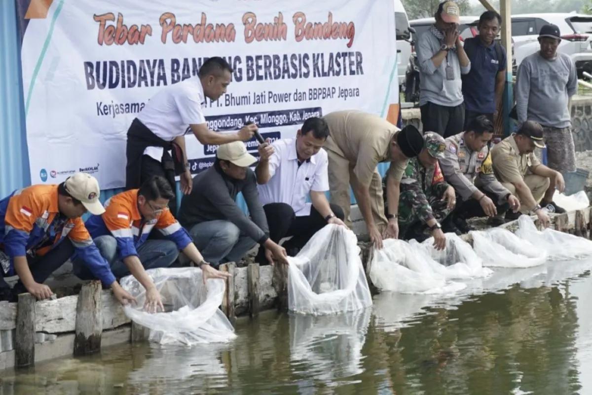 CCTV Dermaga Perahu